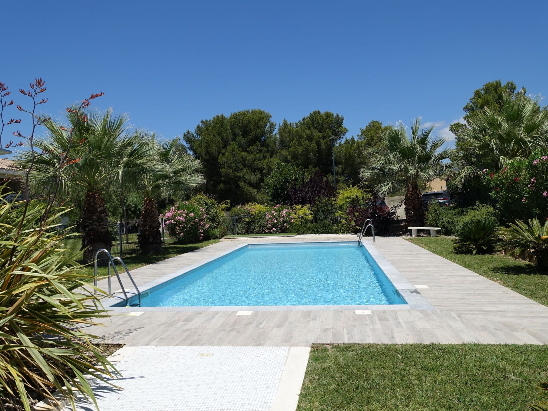 Una piscina rectangular amb una escala metàl·lica a un costat, envoltada per un terra de fusta i vegetació exuberant, incloent palmeres i plantes amb flors.