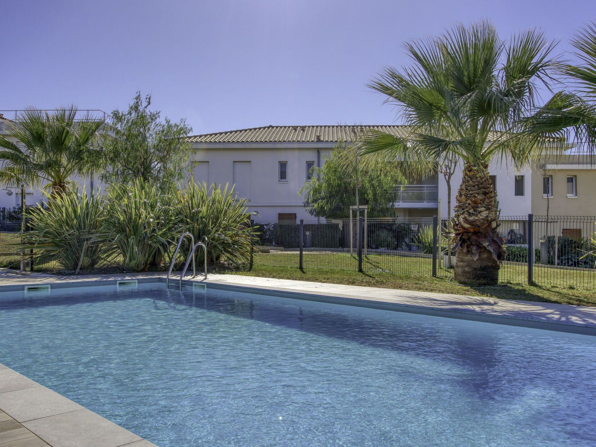 A swimming pool with a metal ladder, surrounded by palm trees and a fence.