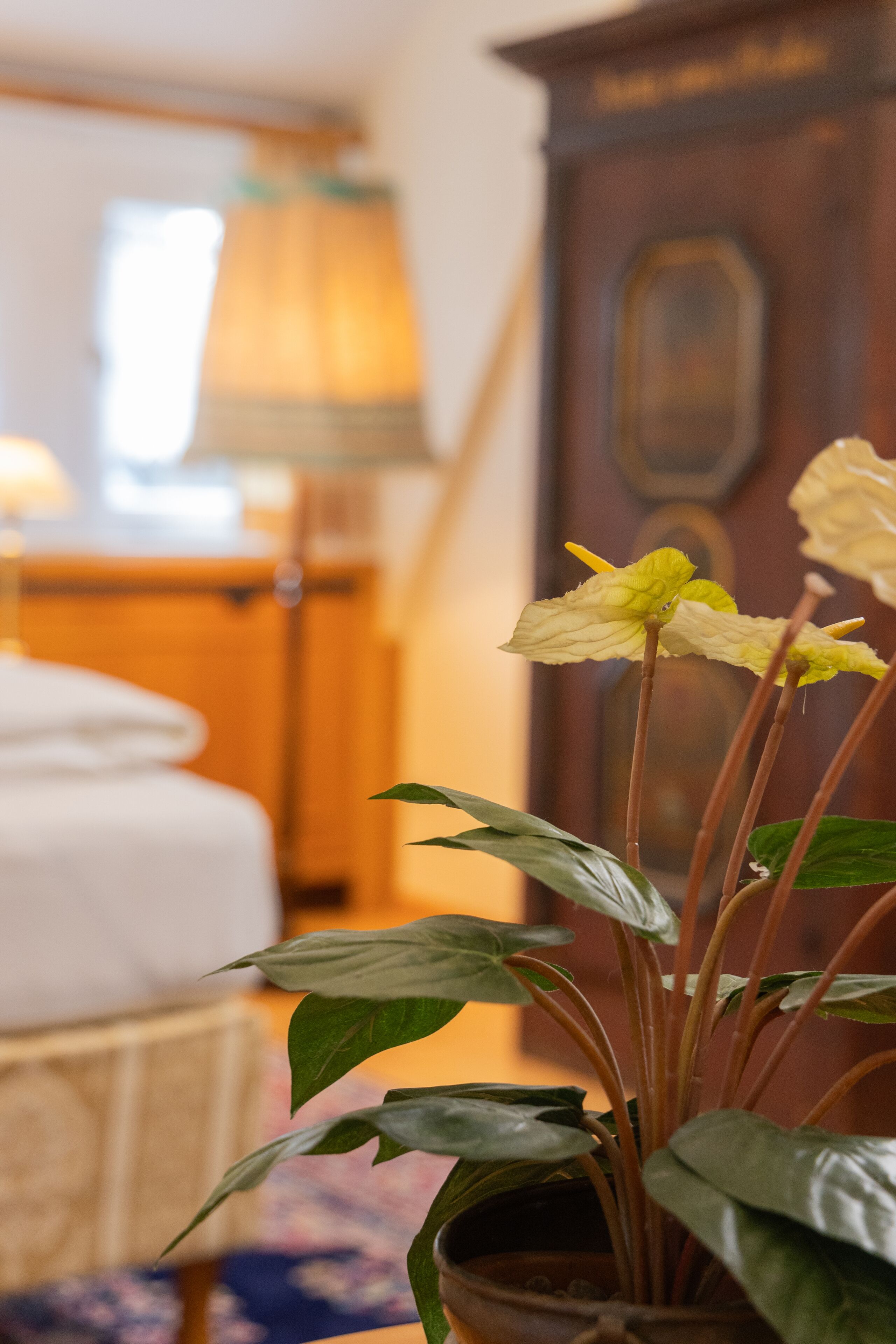 Foto - Gästehaus Englischer Garten