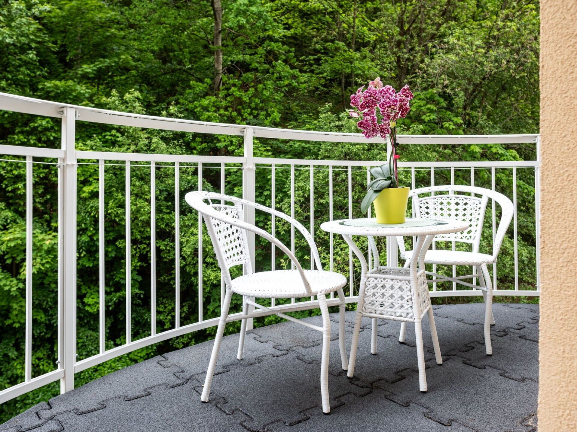 Blume, Pflanze, Möbel, Eigentum, Stuhl, Botanik, Gartenmöbel, Tisch Im Freien, Gras, Baum