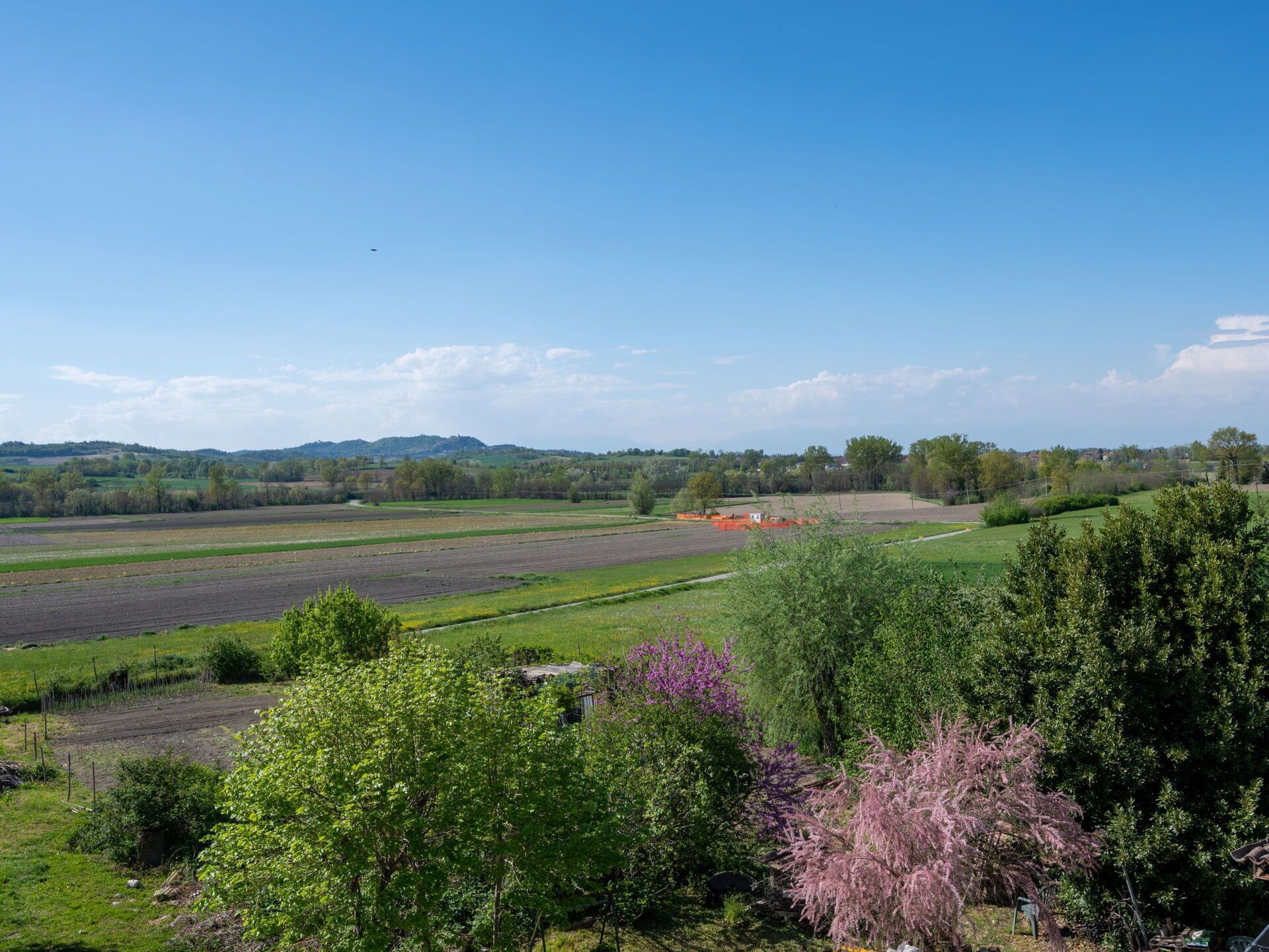 A rural landscape with fields, trees, and a clear sky.