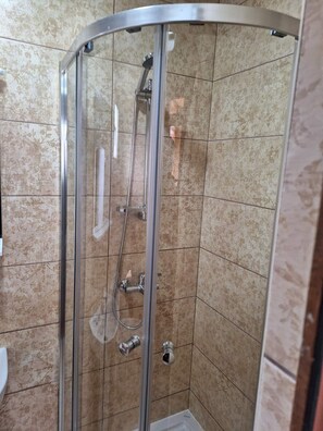 A glass-enclosed shower stall with a curved showerhead and a handheld shower attachment.