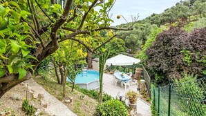 Ein Garten mit Pool, Terrassenmöbeln und diversen Pflanzen.