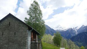 Eksteriør
