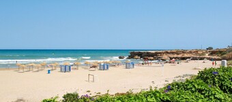 Dejlig lejlighed for 3 gæster med pool, terrasse og kæledyr tilladt