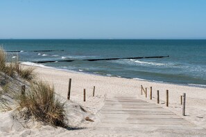Plage, chaises longues