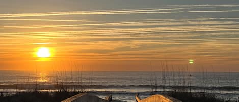 Plage à proximité, chaises longues, serviettes de plage