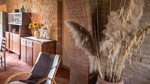 A rustic interior with a stone wall, a wooden cabinet, a wicker chair, and pampas grass in a pot. - Lovely apartment in villa with A/C, WIFI, pool, TV, patio, pets allowed and panoramic view (Cinigiano)
