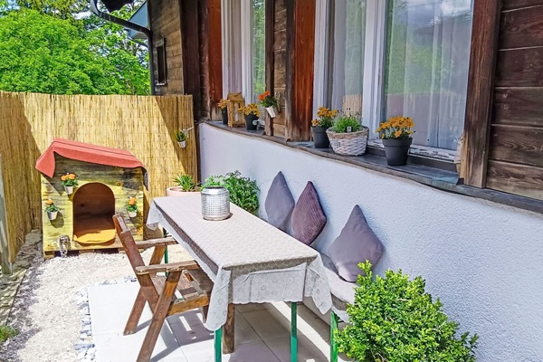 Pflanze, Tabelle, Möbel, Blumentopf, Gebäude, Holz, Interior Design, Zimmerpflanze, Gartenmöbel, Fussboden