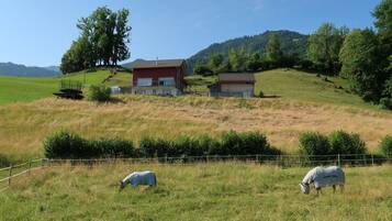 Enceinte de lâhĂ©bergement