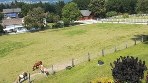 A grassy field with a white fence, a red barn, and a large tree.