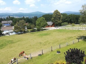A grassy field with a white fence, a red barn, and a large tree.