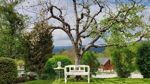 A tree with a bench and a sculpture in a garden with a house in the background.
