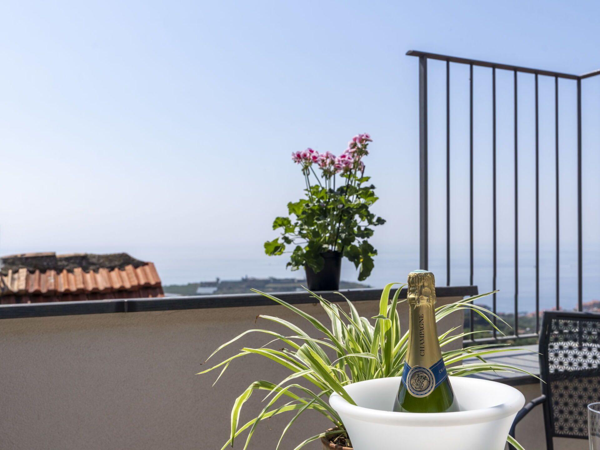 A balcony with a potted plant, a bottle of champagne, and a view of the sea.