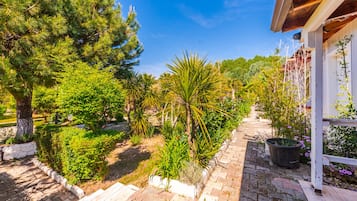Chambre Triple Classique, vue jardin | Terrasse/Patio