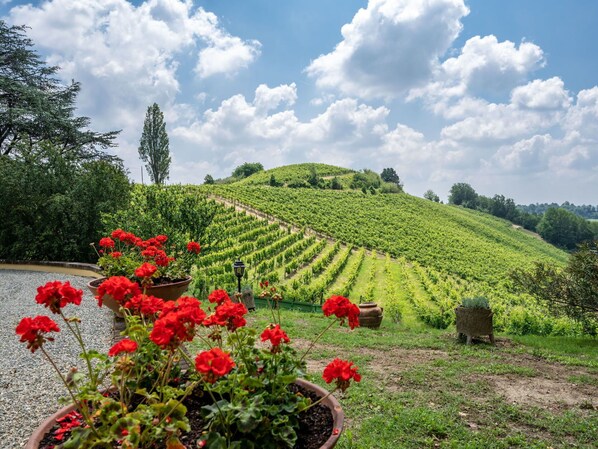 Property grounds - Wonderful private villa for 6 guests with WIFI, TV and patio (Castel Rocchero)