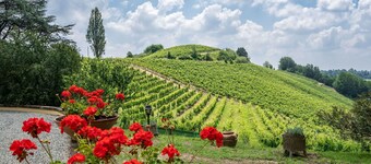 Beautiful private villa for 6 guests with WIFI, TV and patio