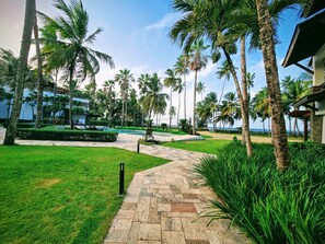 Property grounds - Best Amazing Direct Ocean Beach Pool Views from Penthouse - Winter Specials (Las Terrenas)
