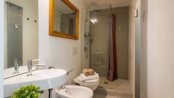 Shower, hair dryer, bidet, towels