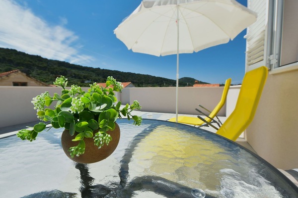 Plante, Bâtiment, Jour, Propriété, L'Eau, Ciel, Bleu, Bleu Azur, Arbre, Arecales