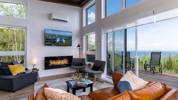 Smart TV, fireplace, books