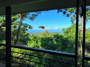 A view through a window with a railing, overlooking a lush landscape with trees and a distant view of the ocean.