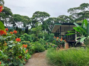 A pathway leading to a modern building surrounded by lush greenery and tropical plants.