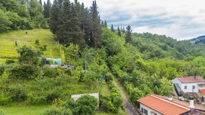 Un paysage rural avec une petite maison à toit rouge et mur blanc, entourée d’une végétation luxuriante et d’arbres.