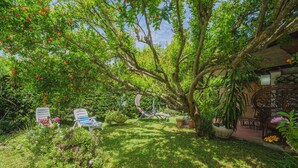 A lush garden with a variety of plants and trees, a seating area with lounge chairs, and a rustic building structure. - Beautiful apartment for 4 people with WIFI, A/C, TV, patio and pets allowed (Pietrasanta)