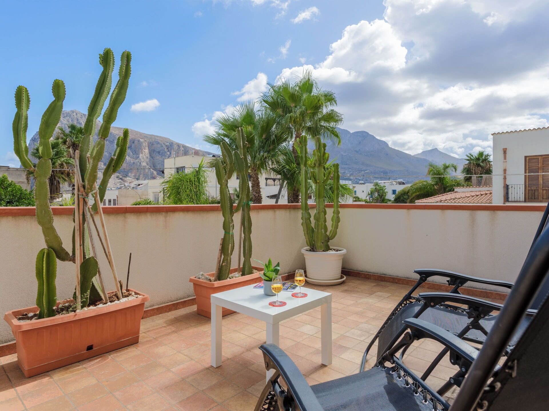 Una terrazza sul tetto con cactus in vaso, un tavolo con bevande e una sedia.