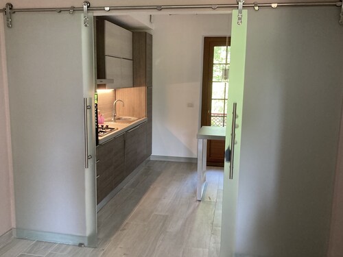 Vacation in Versilia, in the pine forest just minutes from Forte dei Marmi