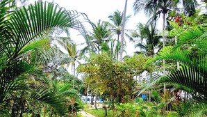 Un sentier de pierres qui traverse un jardin tropical, bordé de palmiers et d’une végétation luxuriante.