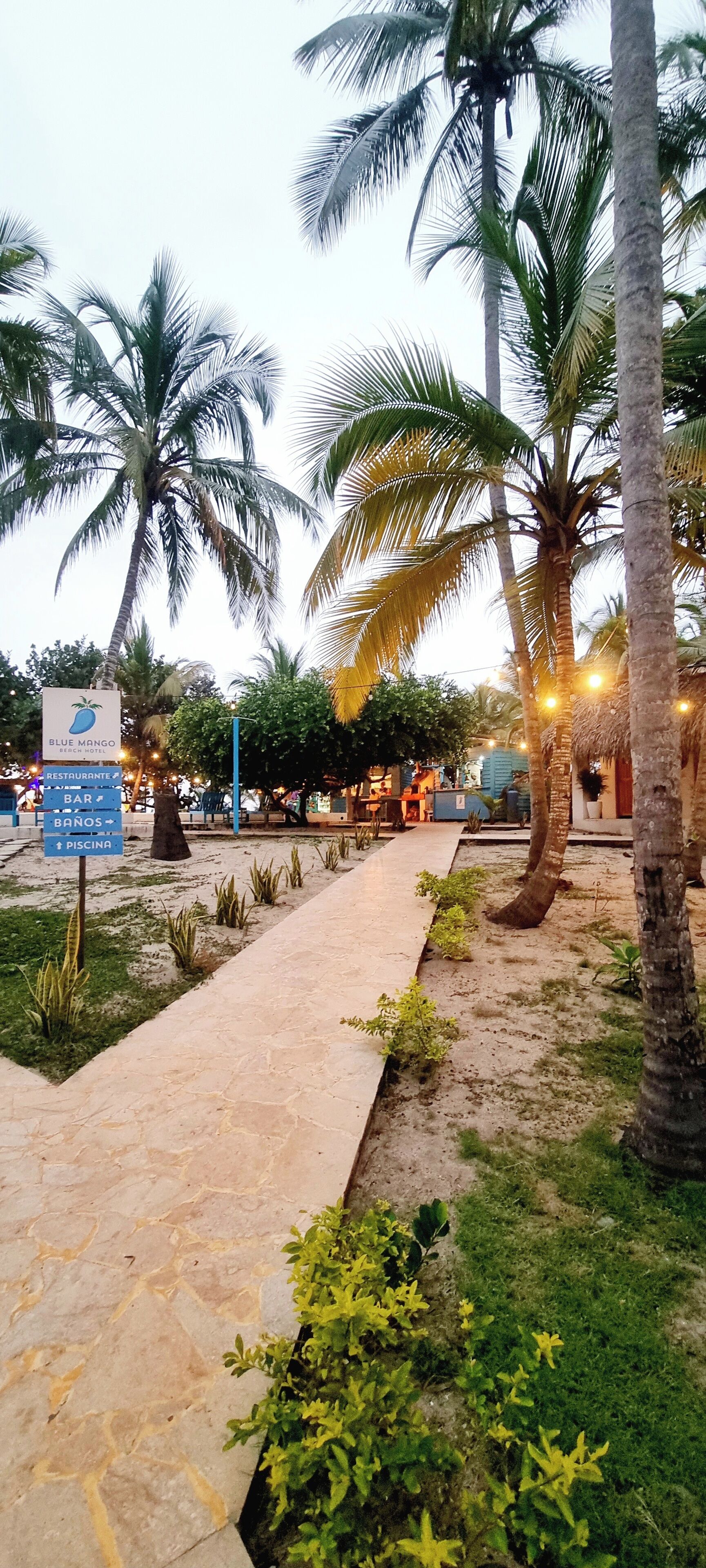 Un camino bordeado de palmeras y un letrero del Hotel Blue Mango Beach.