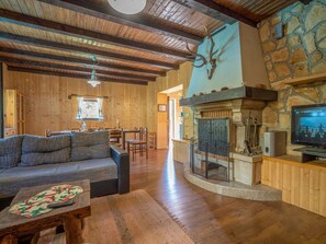 TV, fireplace, foosball