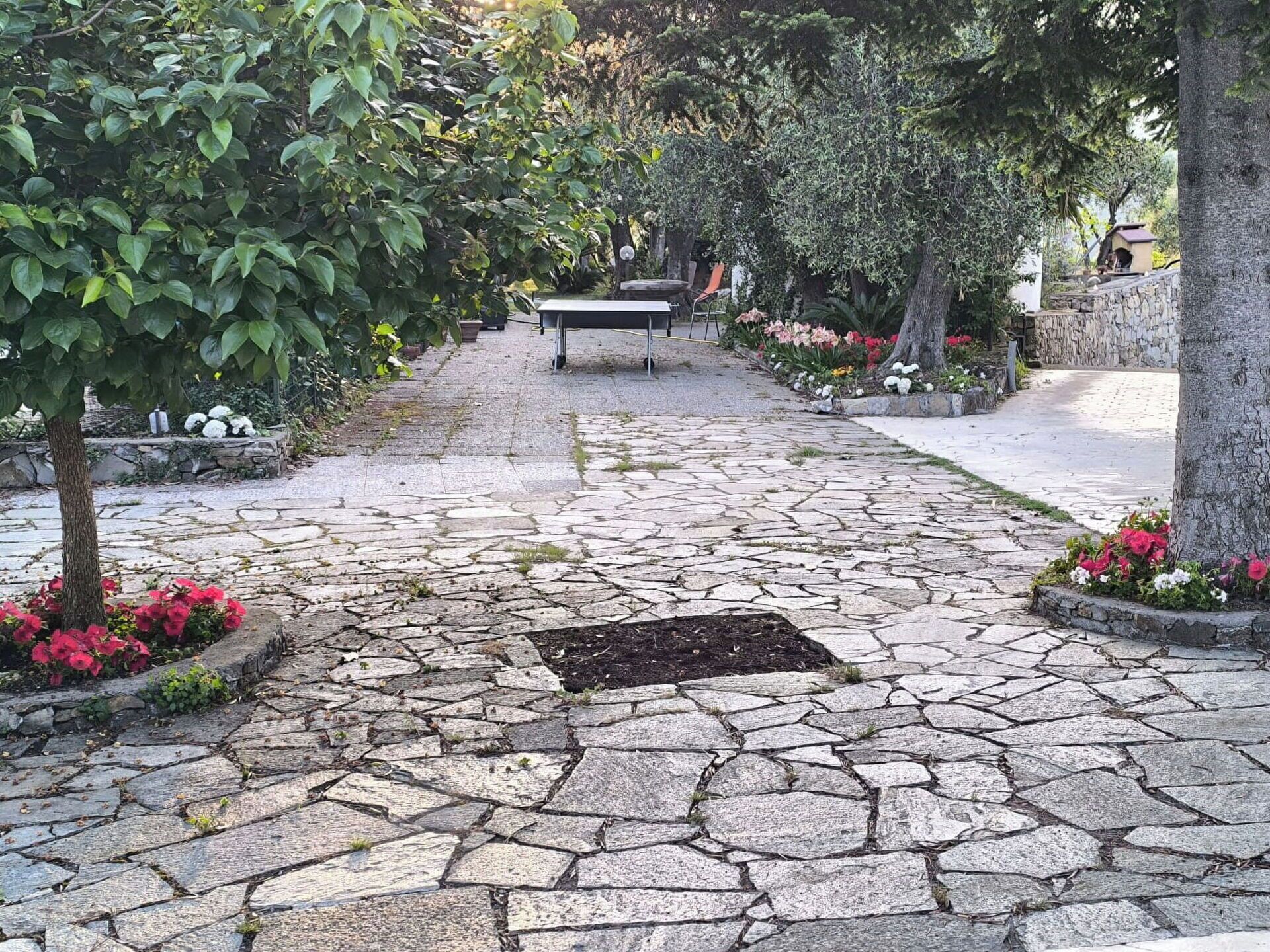 A stone-paved pathway with a bench, surrounded by greenery and flowers.