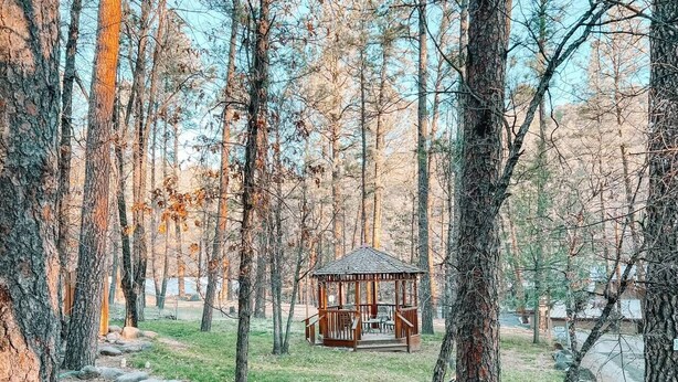A gazebo in a forested area with a clear path leading to it. - Private Forest Retreat | Ruidoso Couples Escape (Ruidoso)