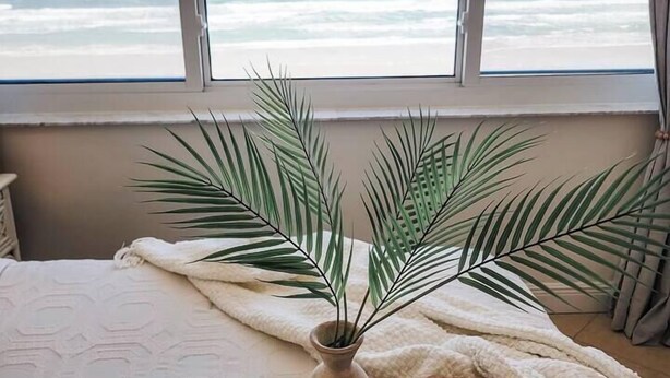 A bedroom with a large window overlooking the beach, a bed with a white blanket, a woven tray with binoculars and a book, and a potted plant.