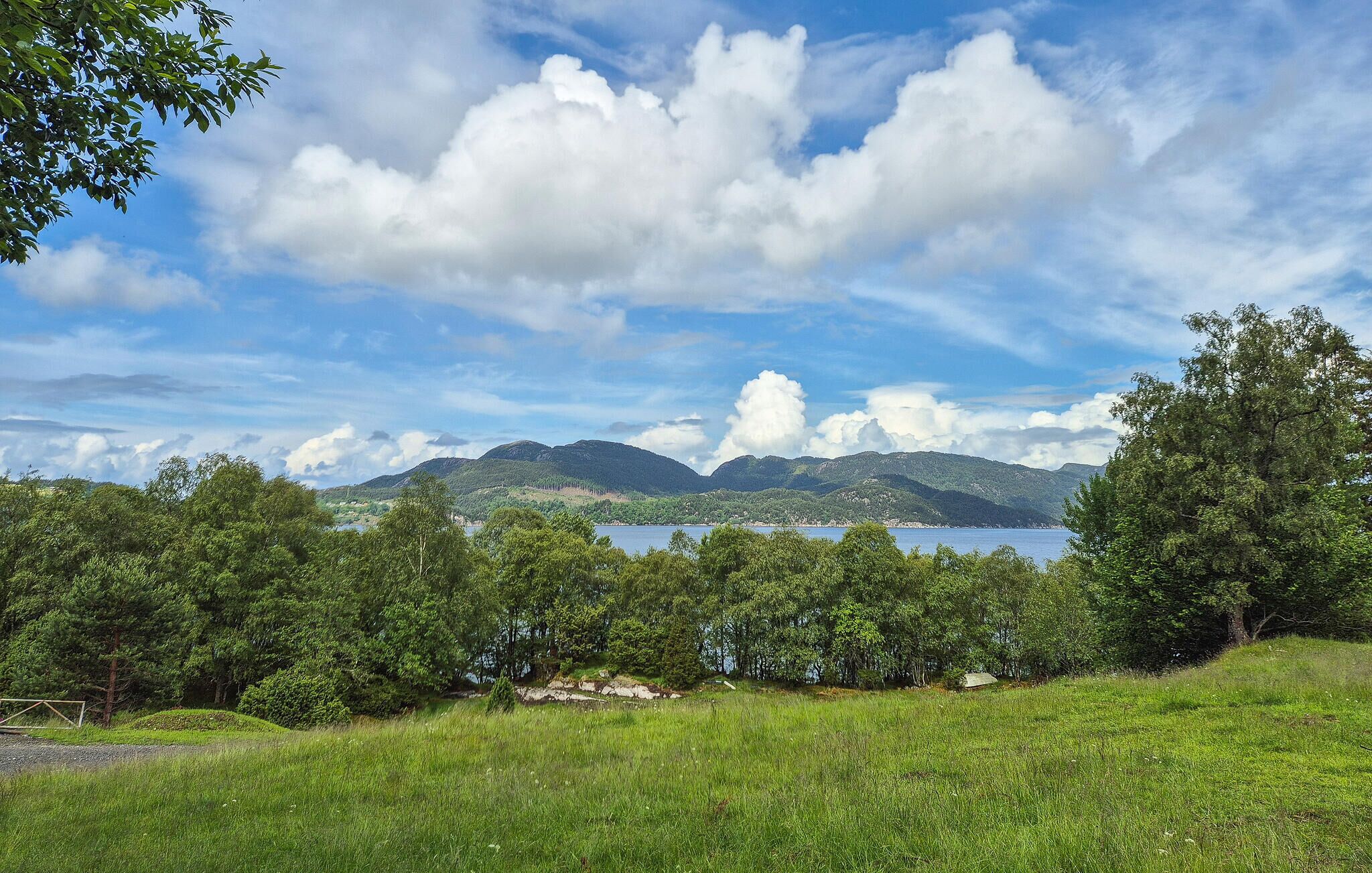 Un paysage verdoyant et luxuriant, avec un lac et des montagnes en arrière-plan.