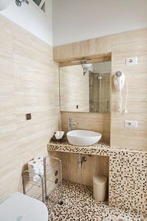 Shower, hair dryer, bidet, towels