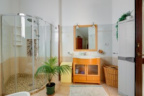 Shower, hair dryer, towels