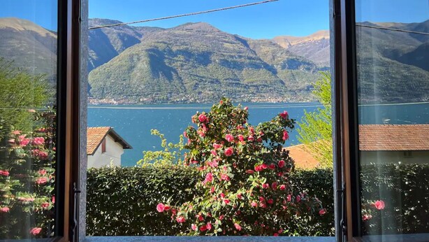 Blick durch ein Fenster auf eine Berglandschaft mit einem See und einem Rosenbusch im Vordergrund.