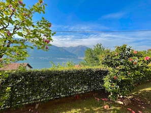 A garden with a hedge, flowering plants, and a view of a lake and mountains. - Vacation Home “Charming House on the Lake” with stunning Lake View (Lezzeno)