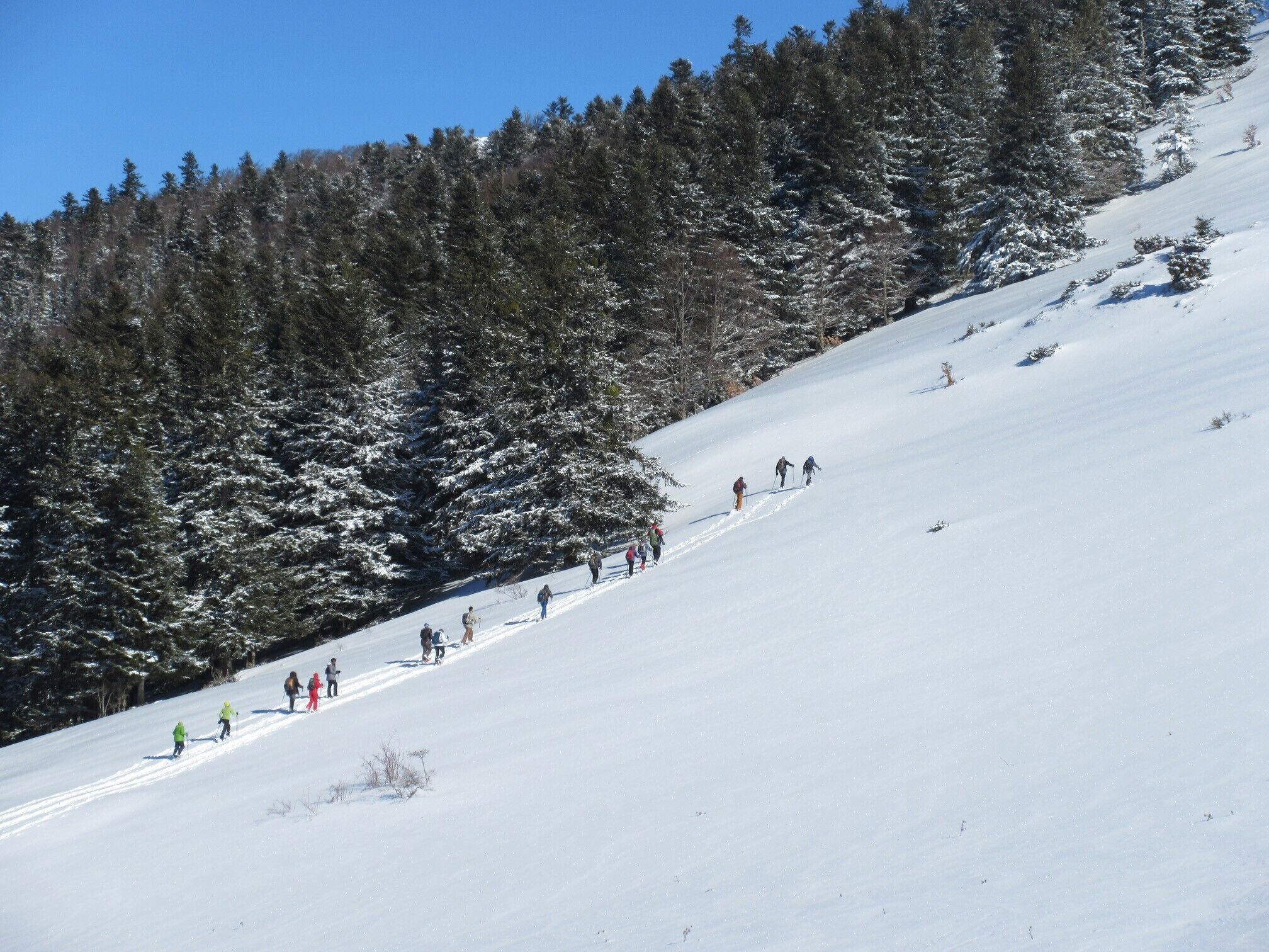 A snowy slope with skiers descending.