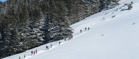 A snowy slope with skiers descending.