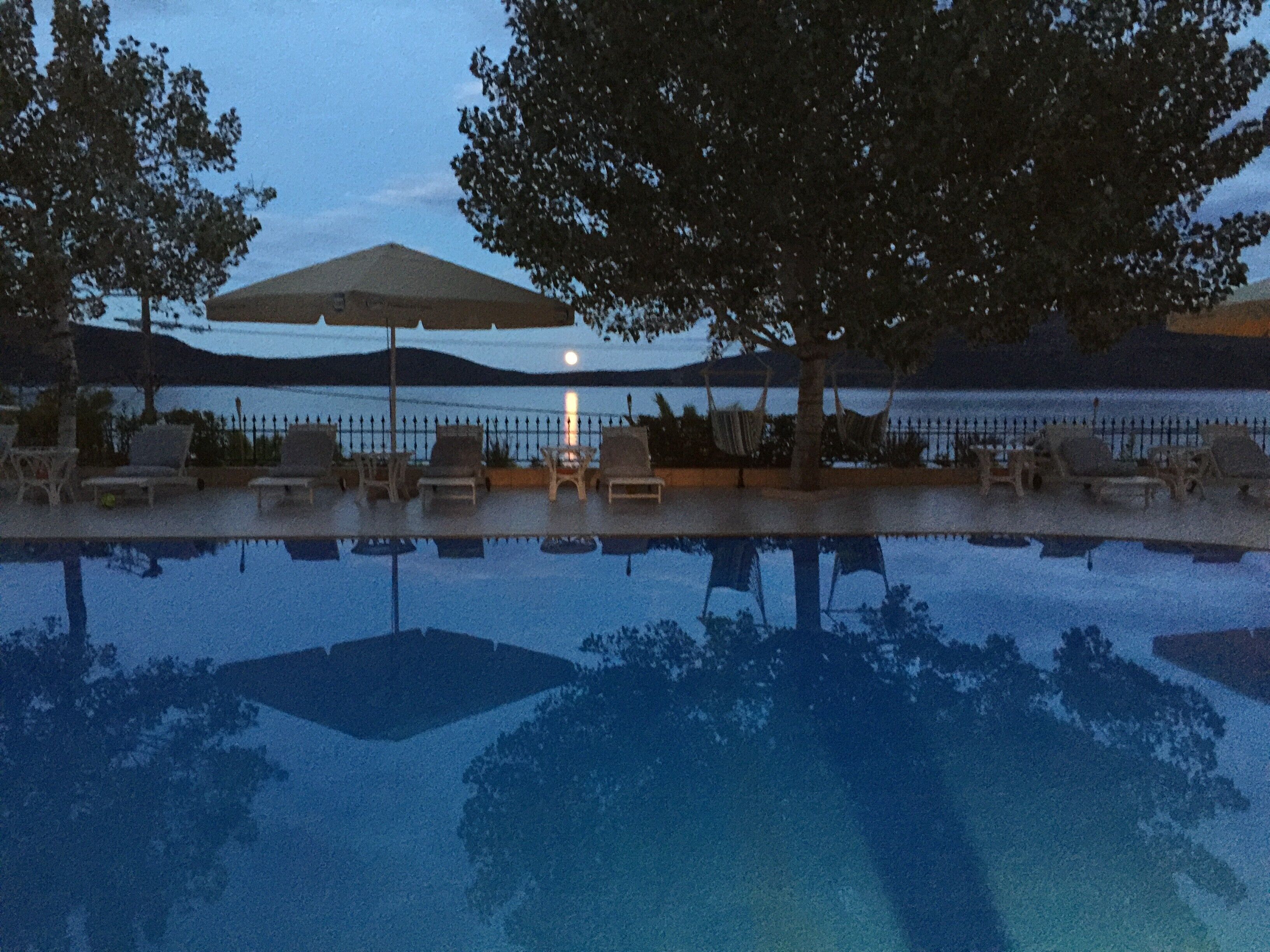 Une piscine entourée d’arbres, avec des chaises longues et des parasols, offrant une vue sur l’eau.