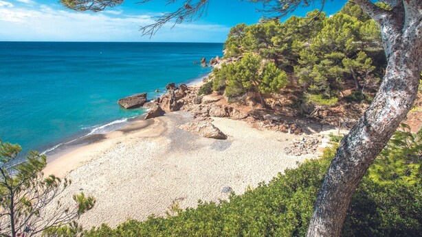 A beach with clear turquoise water, rocky outcrops, and dense green foliage.