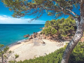 Een strand met helder turquoise water, rotsachtige uitstulpingen en weelderige groene begroeiing.