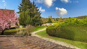 Un jardín con una terraza de madera, un árbol grande y un cielo azul despejado.