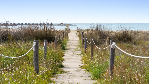 Ein Holzsteg führt zu einem Strand, im Hintergrund ist ein Steg zu sehen.