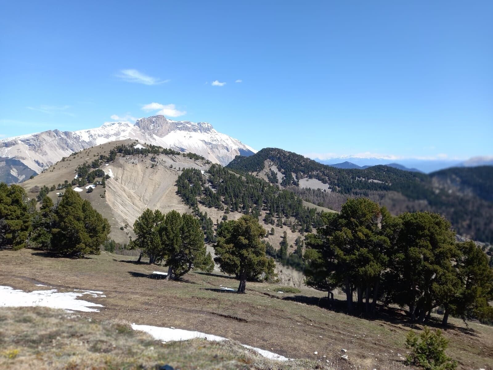 Un paysage montagneux avec des sommets enneigés, un ciel dégagé et des arbres dispersés.